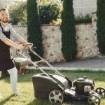 Preparing Your Yard